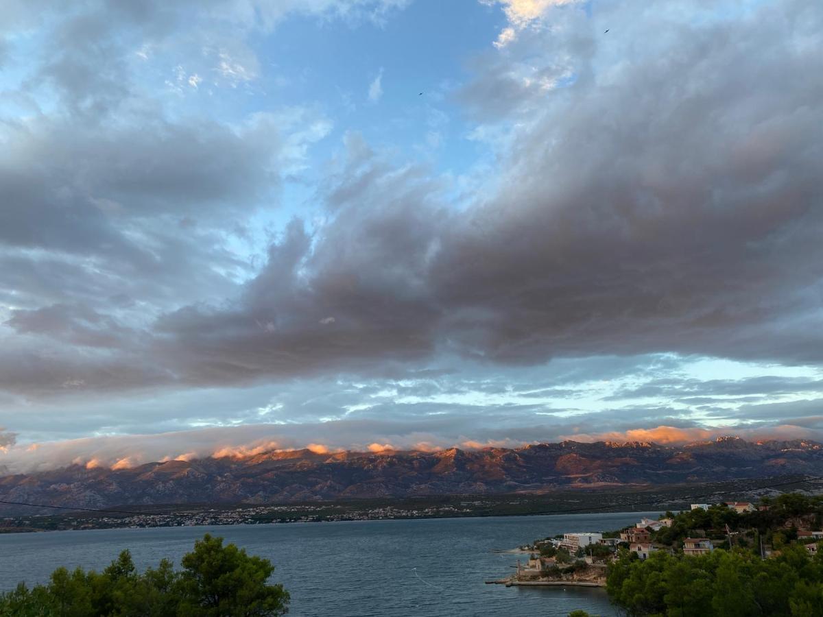 Apartments Mikecin Novigrad  Dış mekan fotoğraf