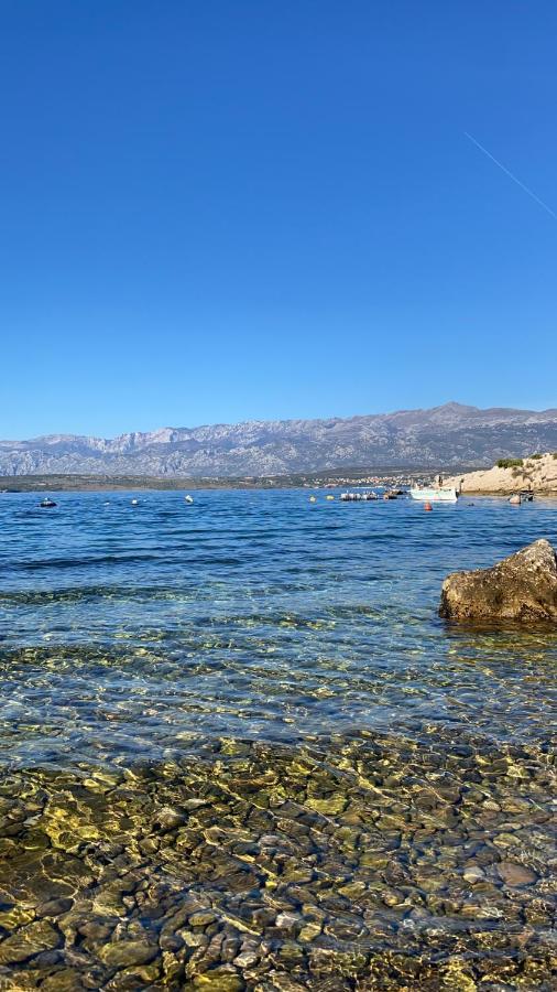 Apartments Mikecin Novigrad  Dış mekan fotoğraf