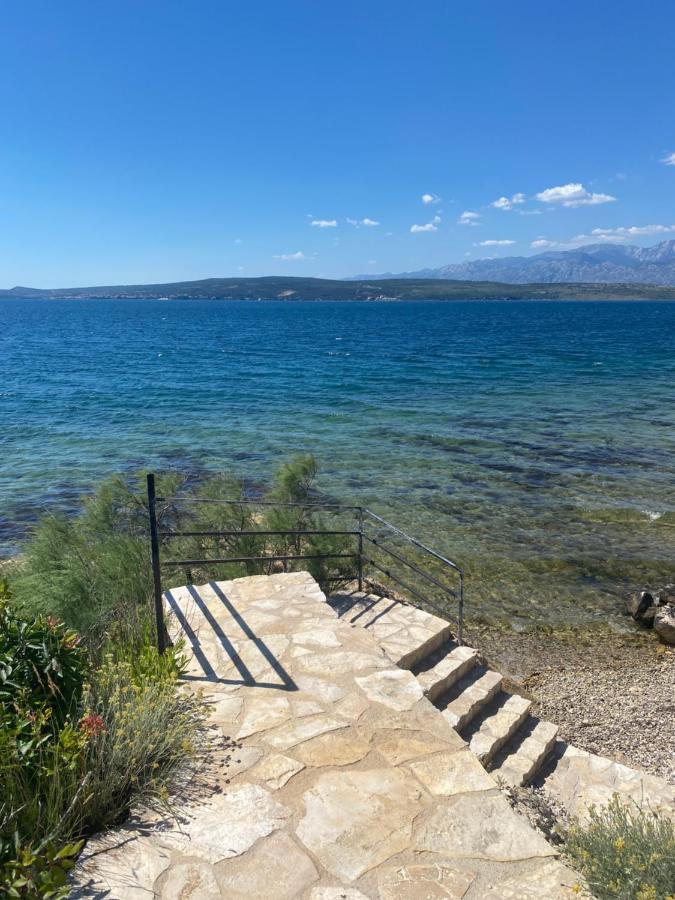 Apartments Mikecin Novigrad  Dış mekan fotoğraf