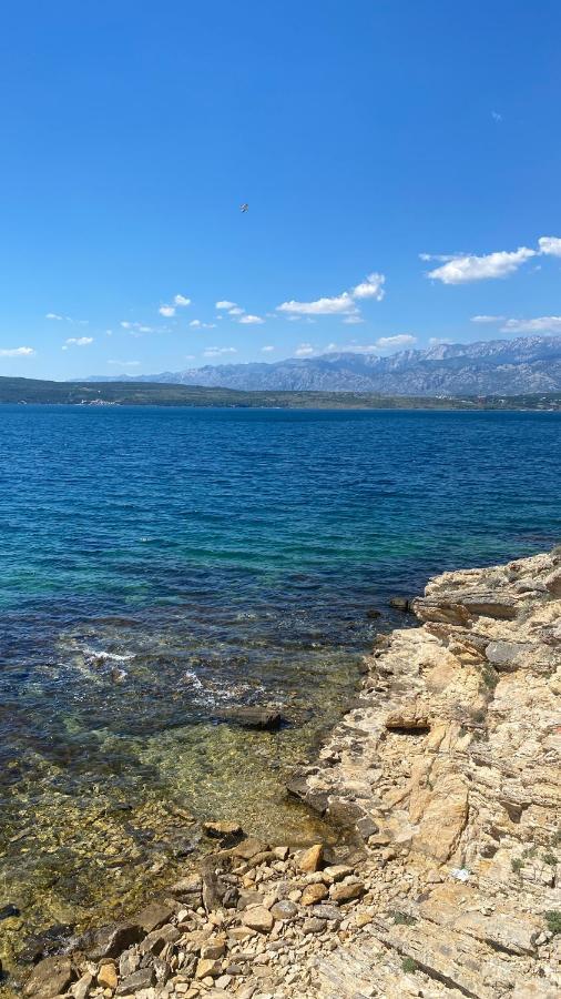 Apartments Mikecin Novigrad  Dış mekan fotoğraf
