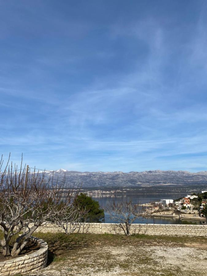 Apartments Mikecin Novigrad  Dış mekan fotoğraf