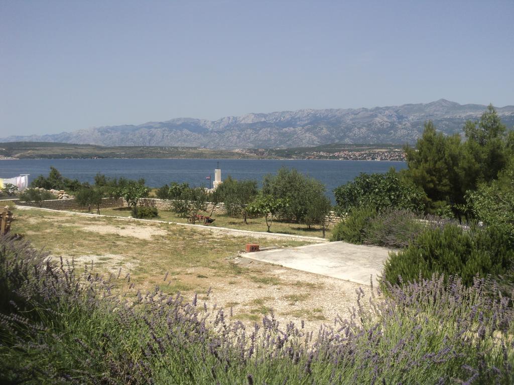 Apartments Mikecin Novigrad  Dış mekan fotoğraf